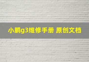 小鹏g3维修手册 原创文档